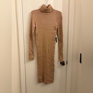 Express Long sleeve turtleneck dress